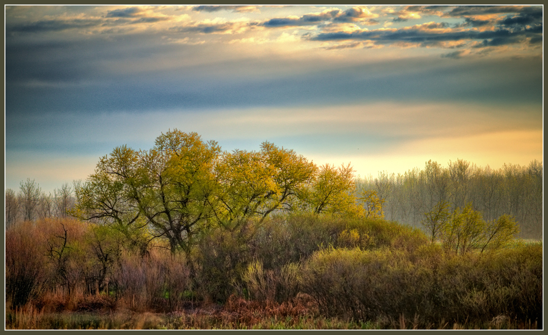 Spring Morning 