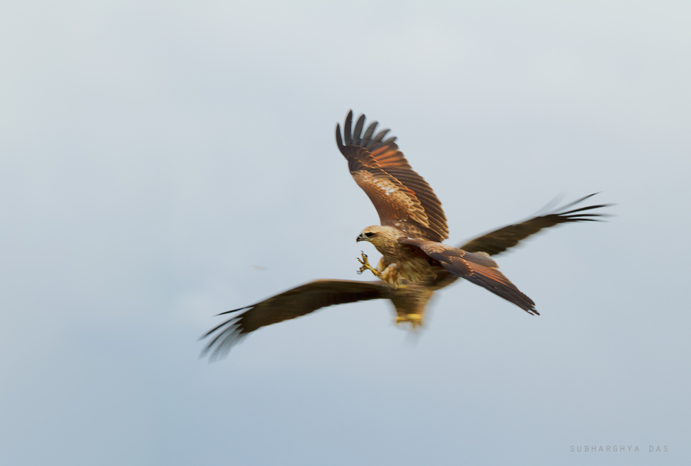 Mid-Air Collision