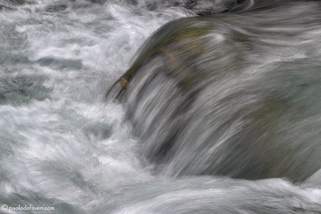 Splash