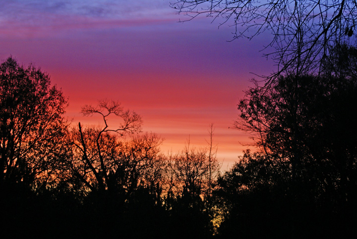 Twilight in Georgia