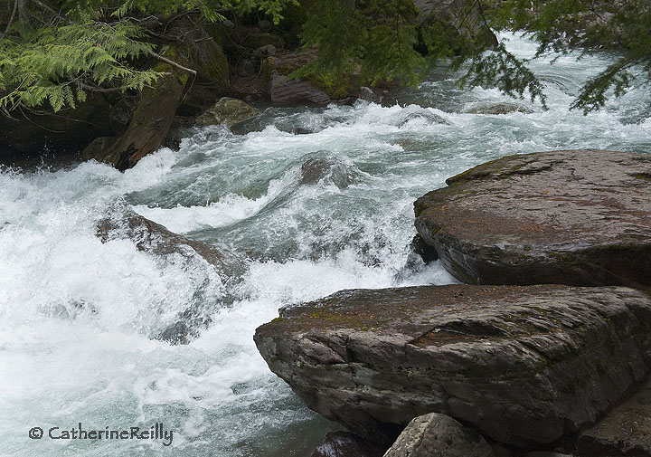 Avalanche Creek