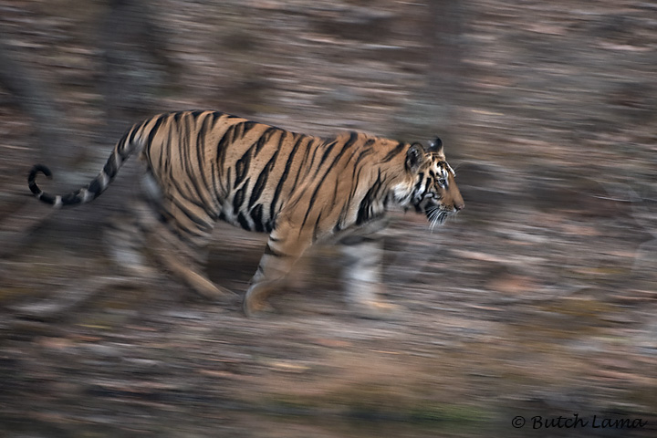 On the move