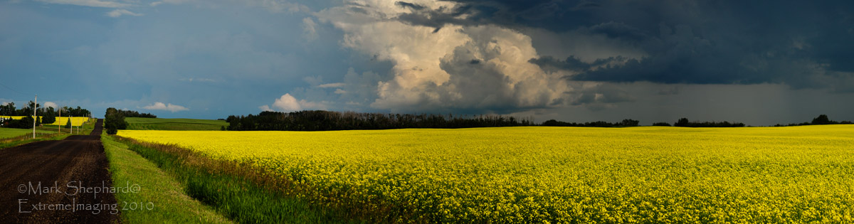 Prairie Roads