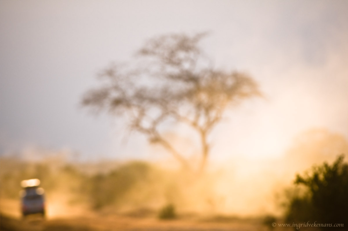 Dust In The Wind