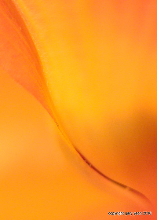 Untitled abstract