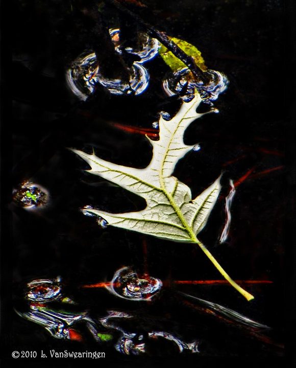 Sparkling Pond Bubbles
