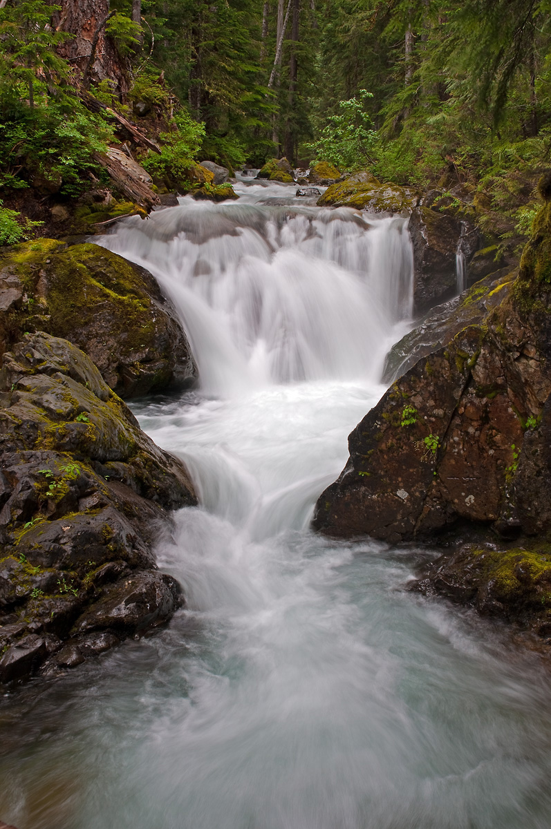 Mt Rainier-Ohanapekosh