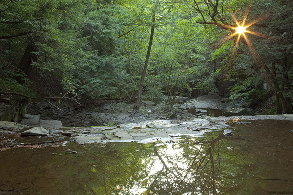 Sunny Bozenkill