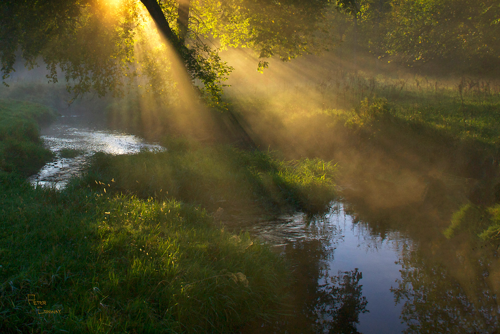 Morning light on Creek
