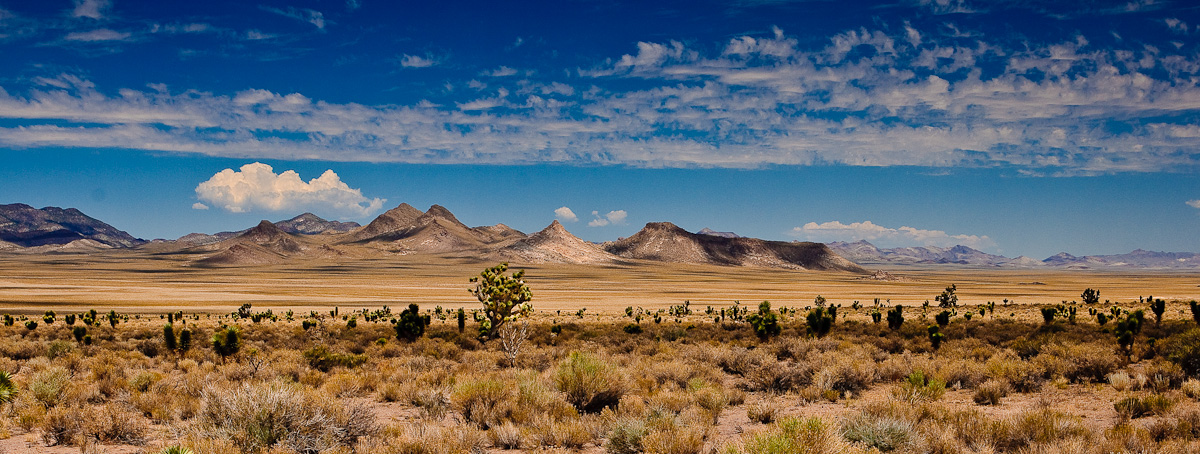 Area 51