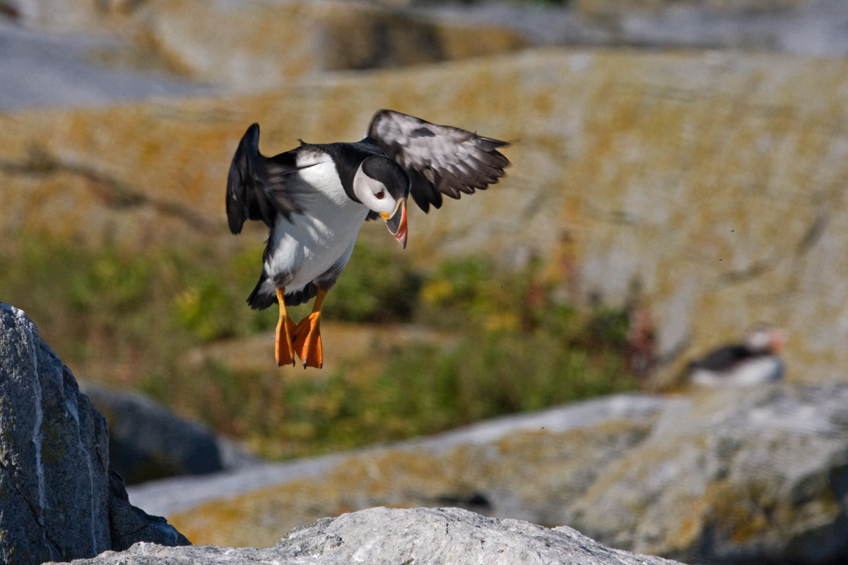 Final Approach