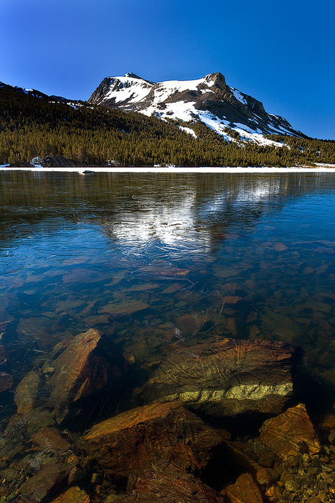 Icy Tioga Lake