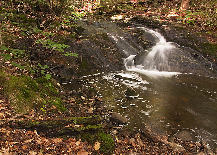 Falls and Moss