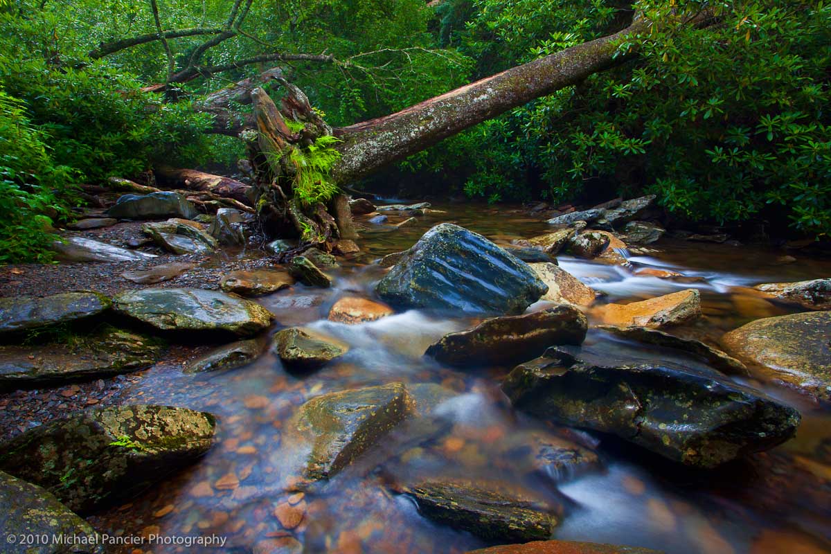 Cool Mountain Stream