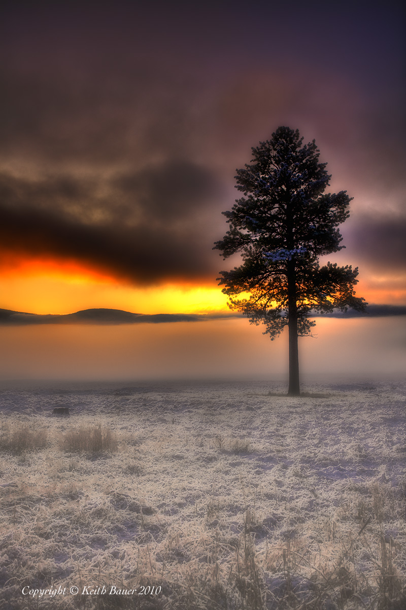 Foggy Sunrise-w/repost