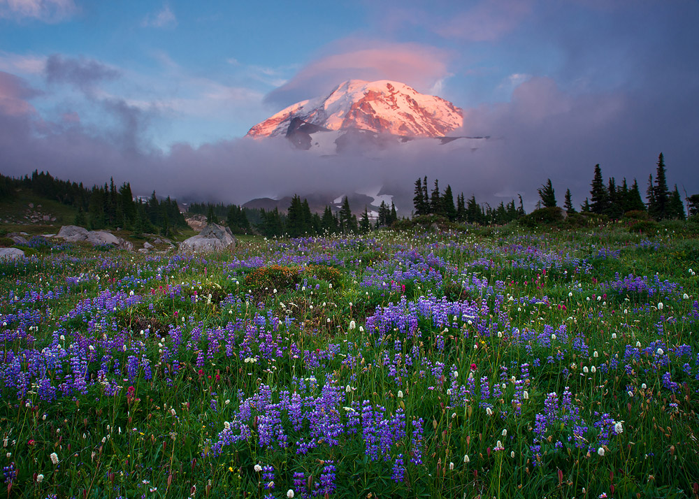 Rainier Magic