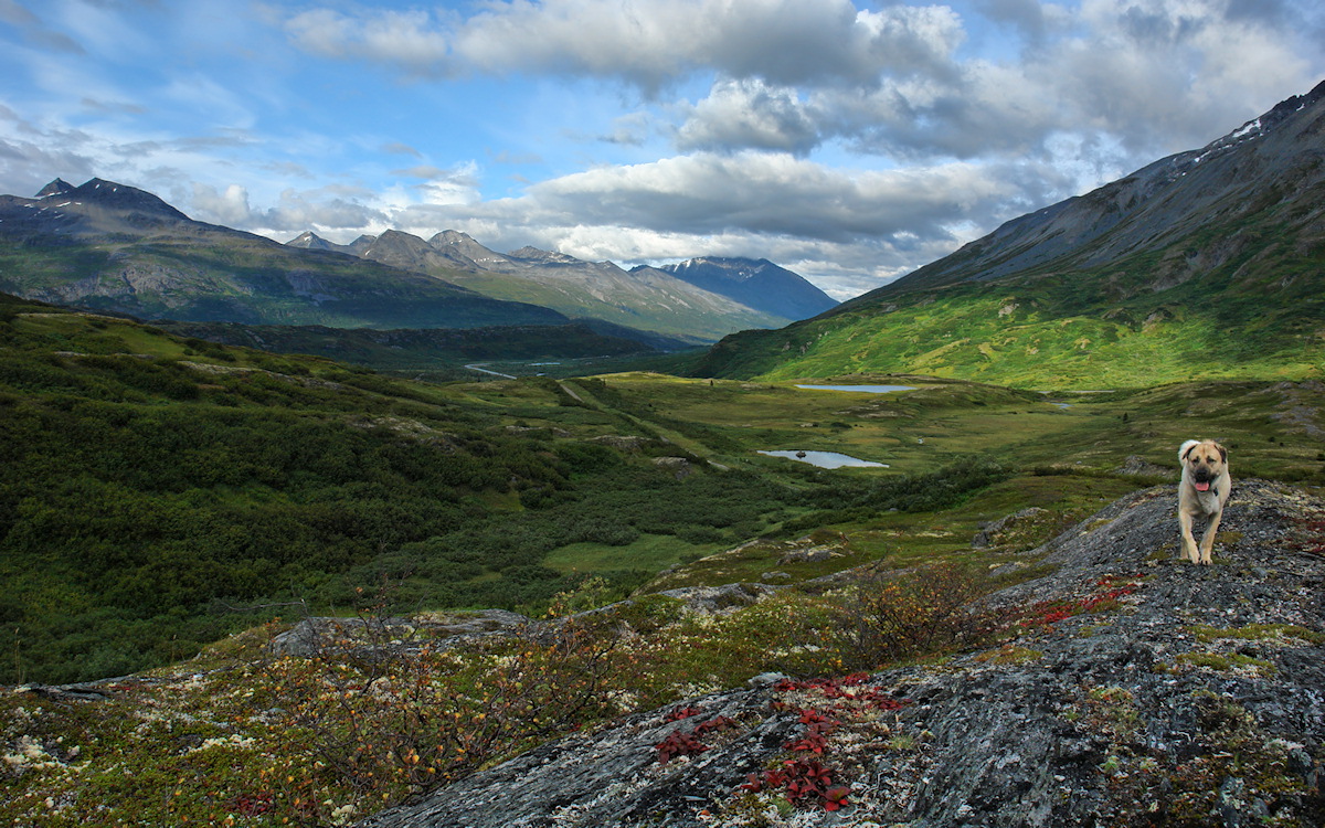 Eli's Coming