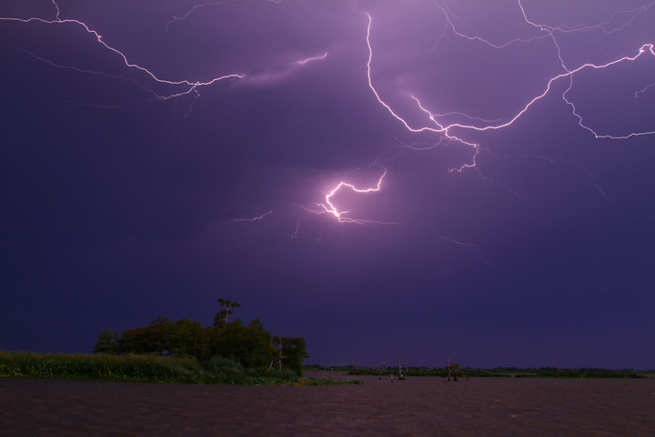 Louisiana Lightning