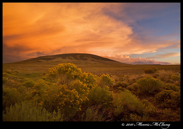 New Mexico Magic