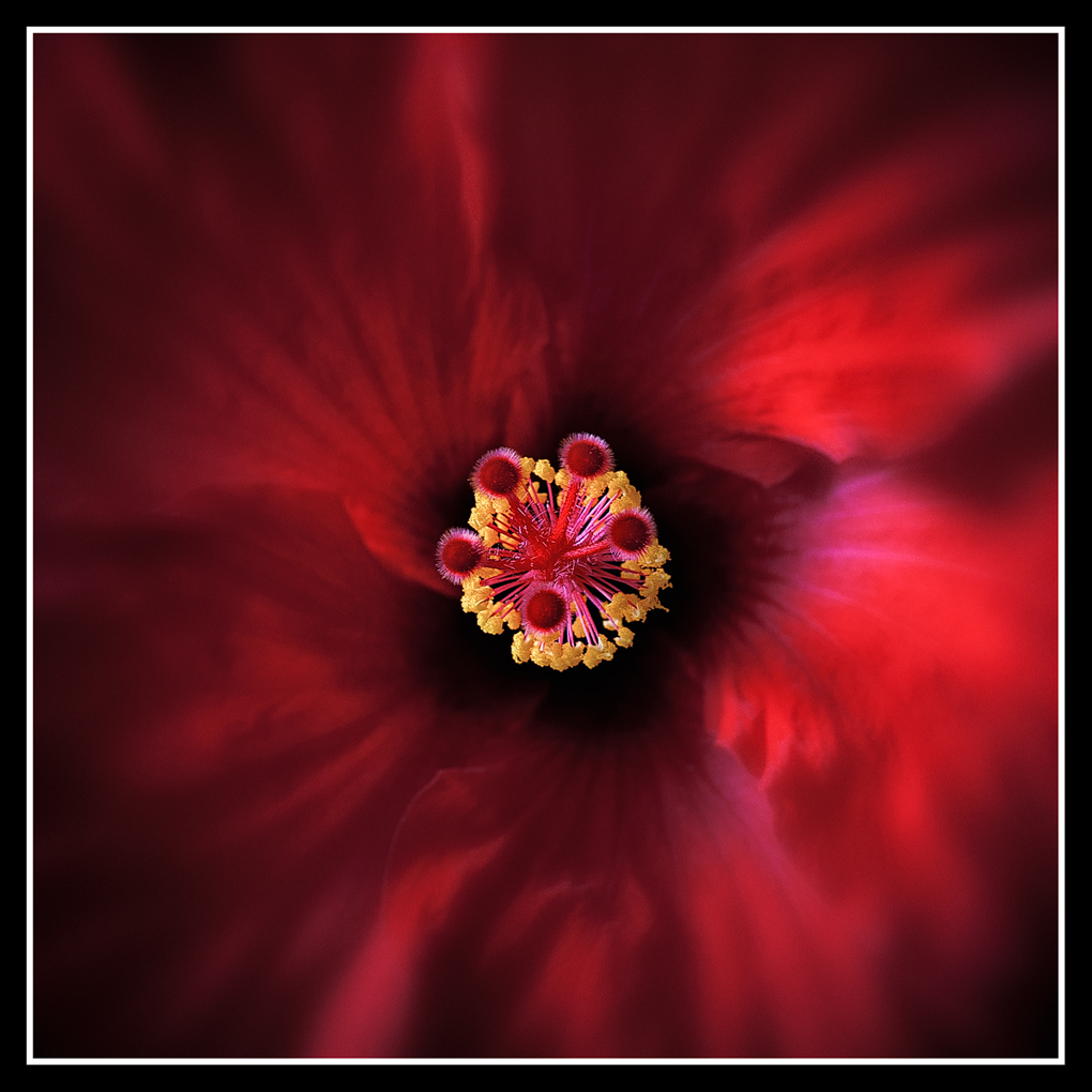 Red Nebula
