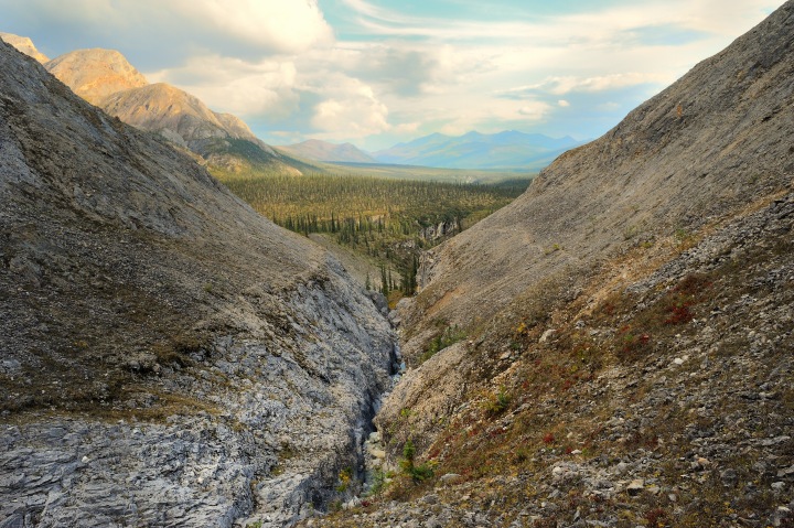 Narrow Line
