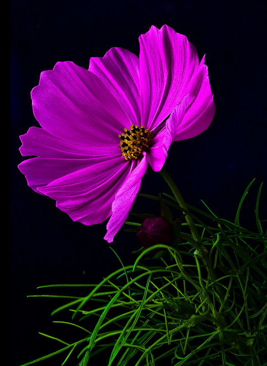 First light