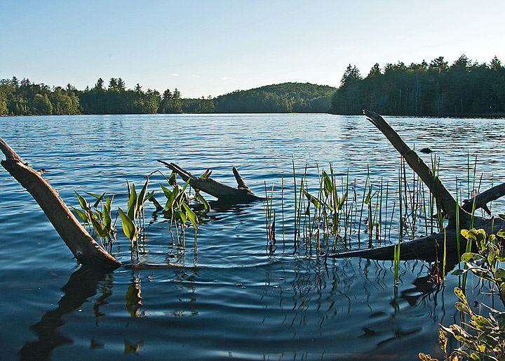 Across Mason Lake