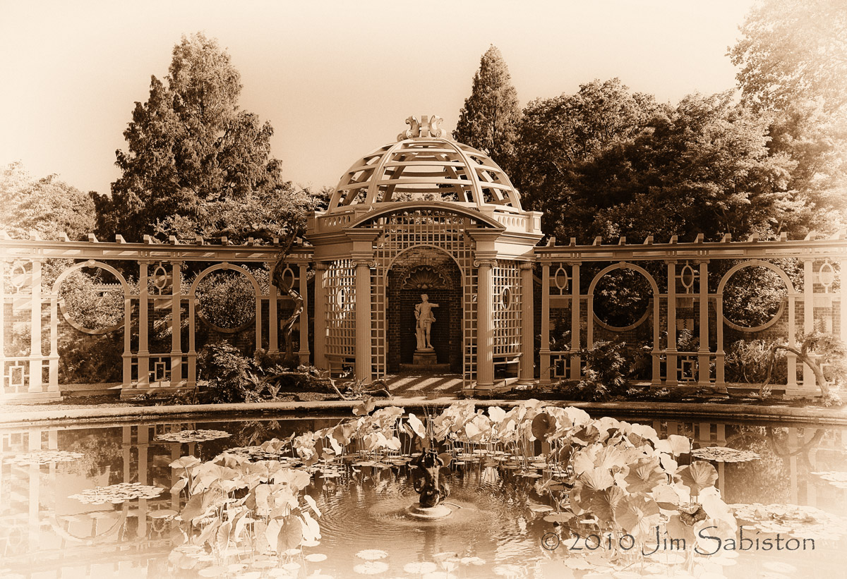 The Lotus Pond