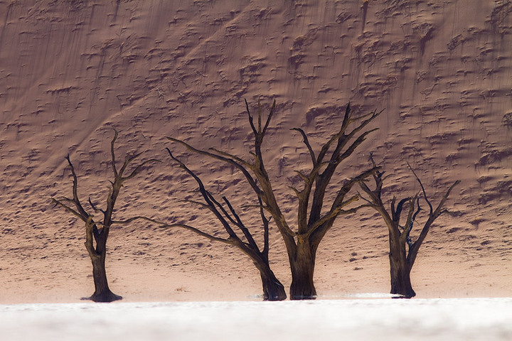 Desert visions