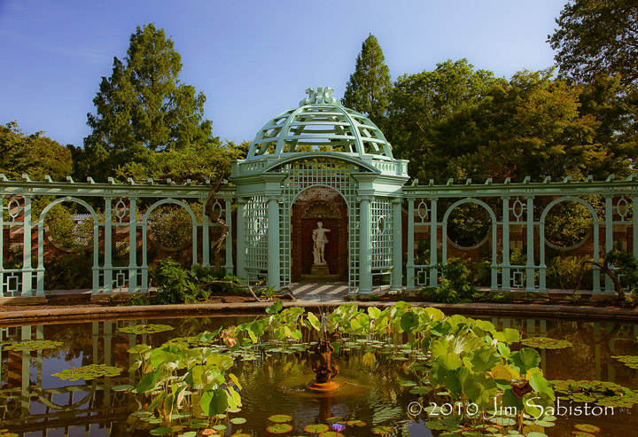 The Lotus Pond - color
