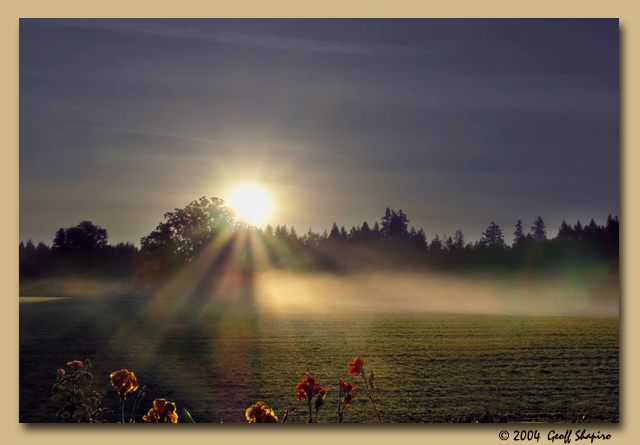 Dawn's Early Light