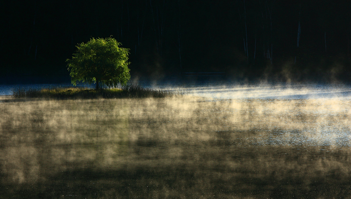 First Light