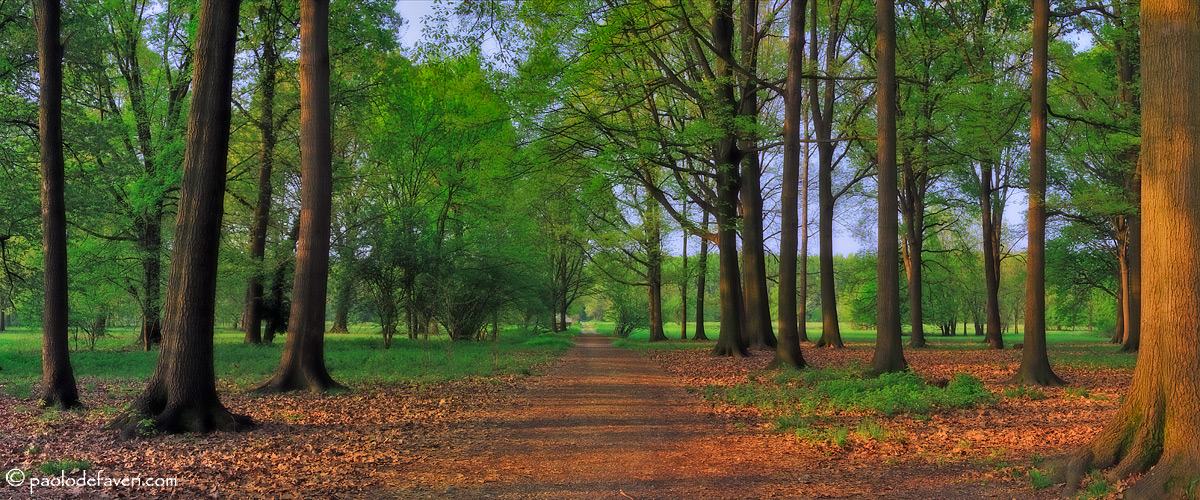 Country road