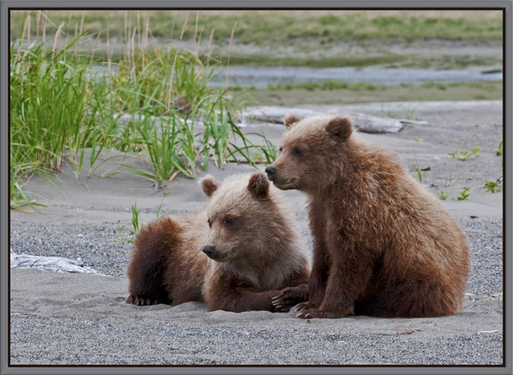 Waiting for Mom