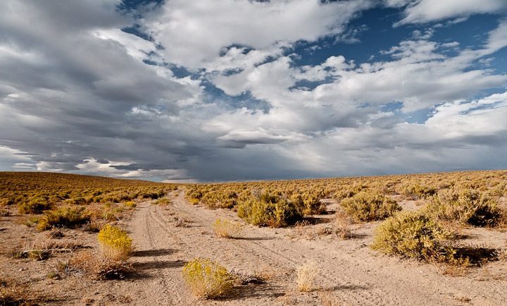 Backroad