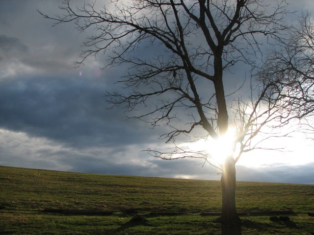 Spring Sunset