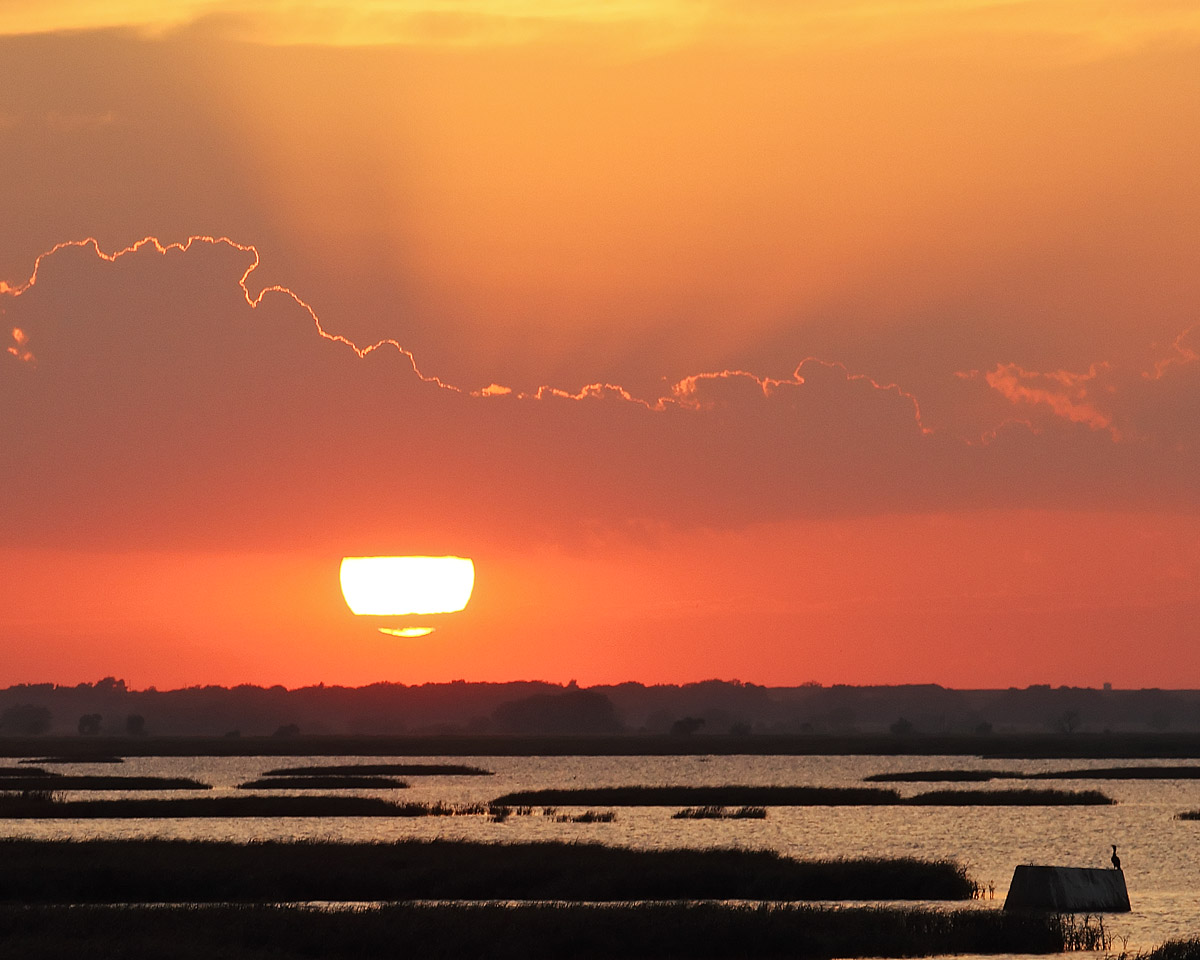 Wetlands Sunset