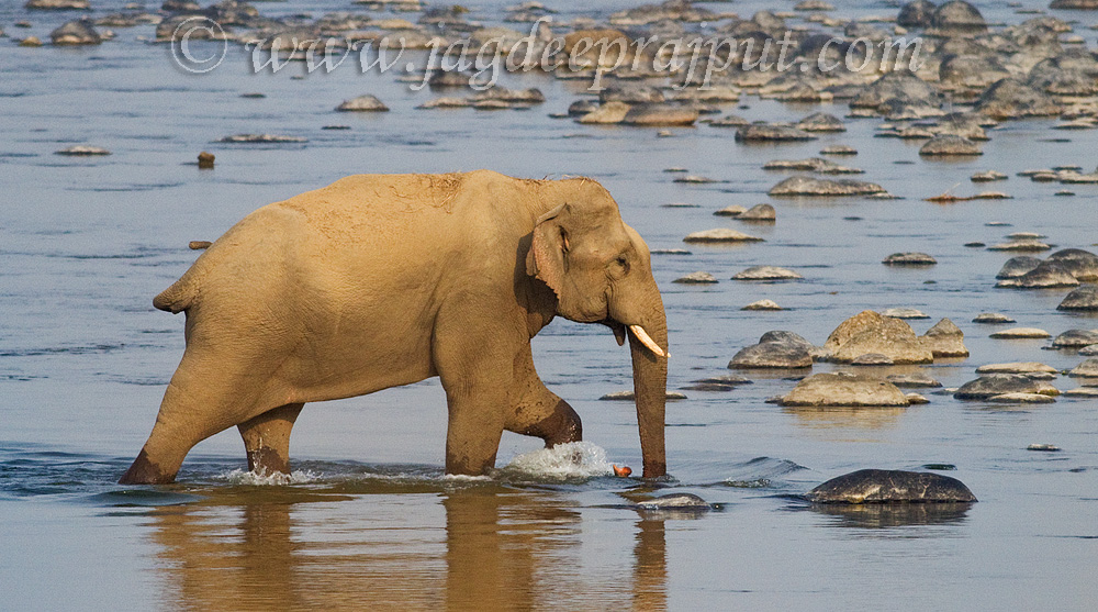 Crossing the river