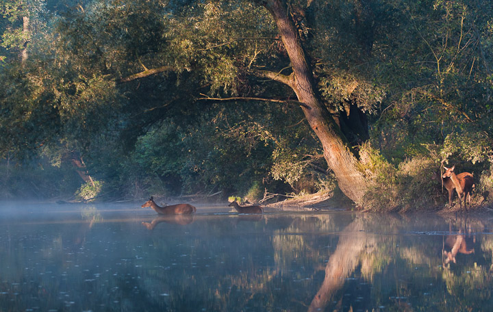 September morning