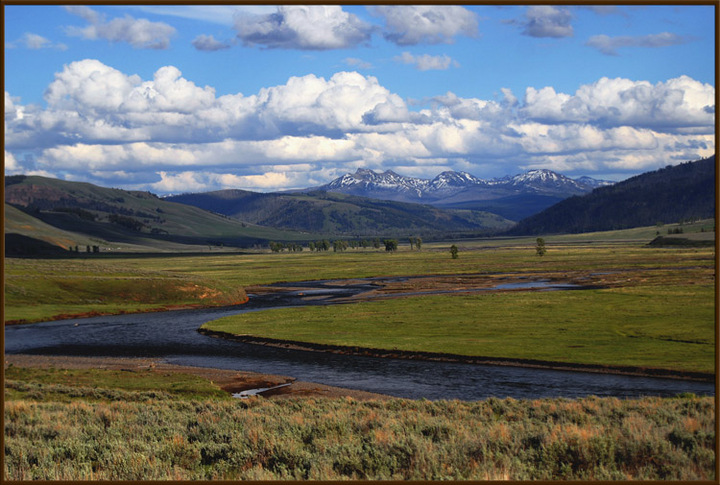 Yellowstone
