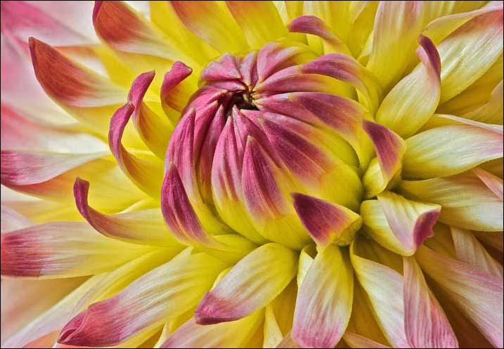 Unfolding ( & Repost )