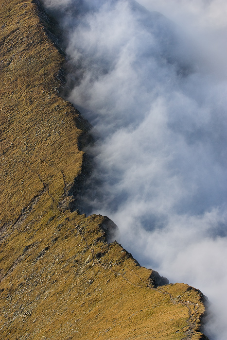 Tectonic