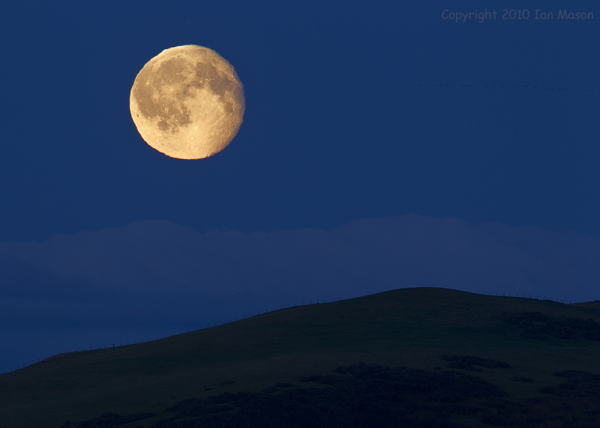 Harvest Moon