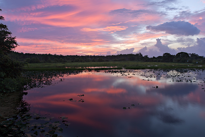 Lee Road Sunrise