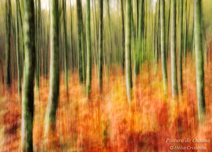 Autumn Painting (+Repost)