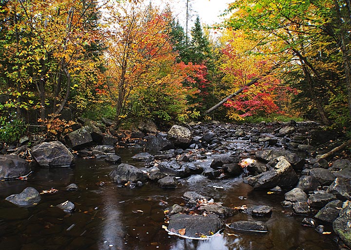 Adirondack Stream