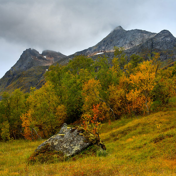 Autumn in Fiskfjord