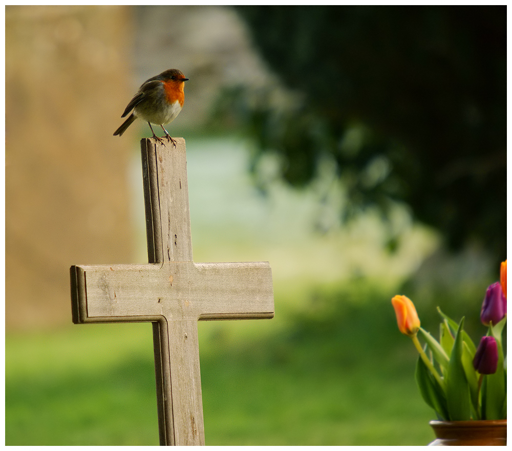 Life after death