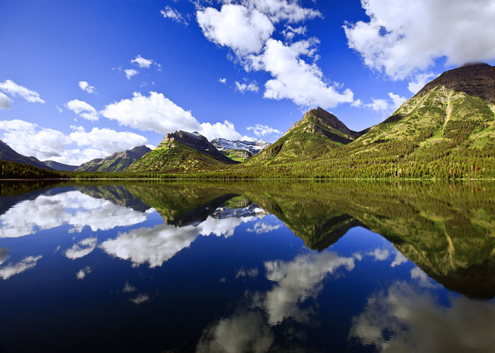 WC#451 - Mirror Image