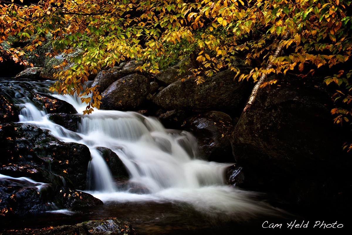 Autumn in the Whites